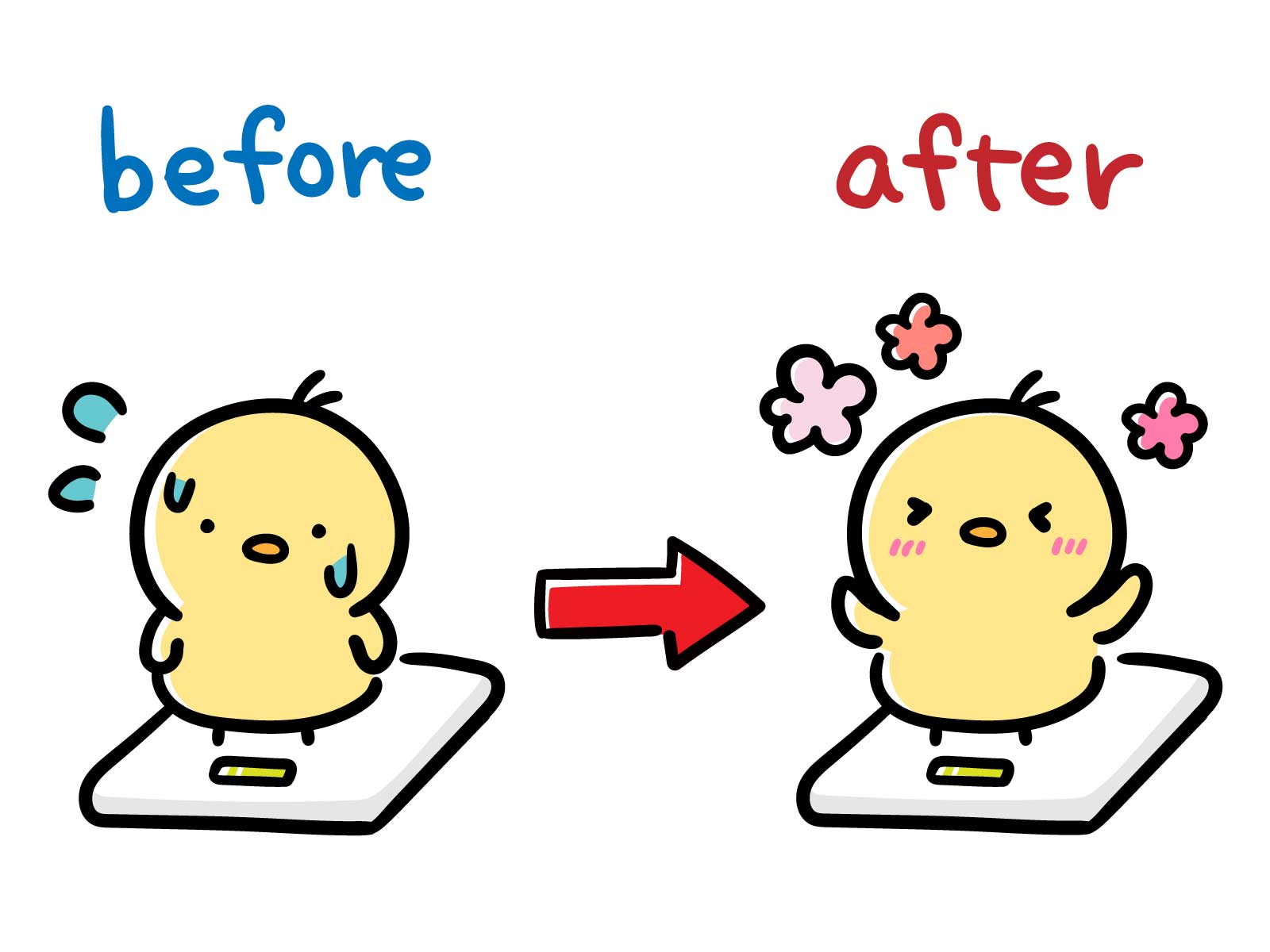 やせ活アイテム図鑑